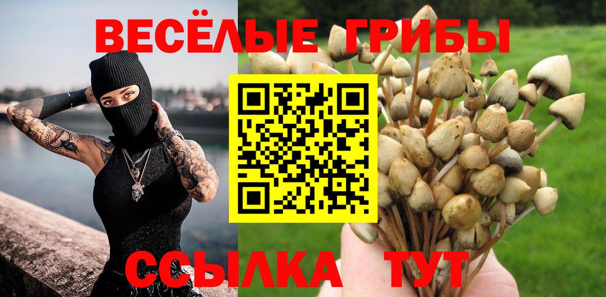 Псилоцибиновые грибы ЛСД Саратов