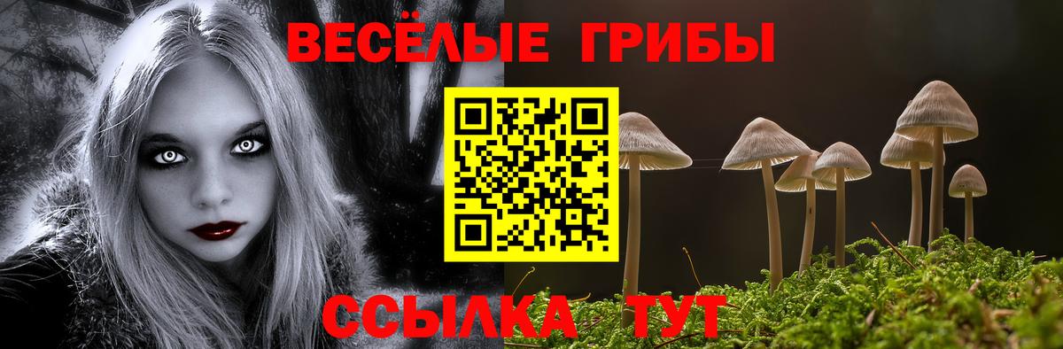 Псилоцибиновые грибы Magic Shrooms  Вход с VPN  Саратов 